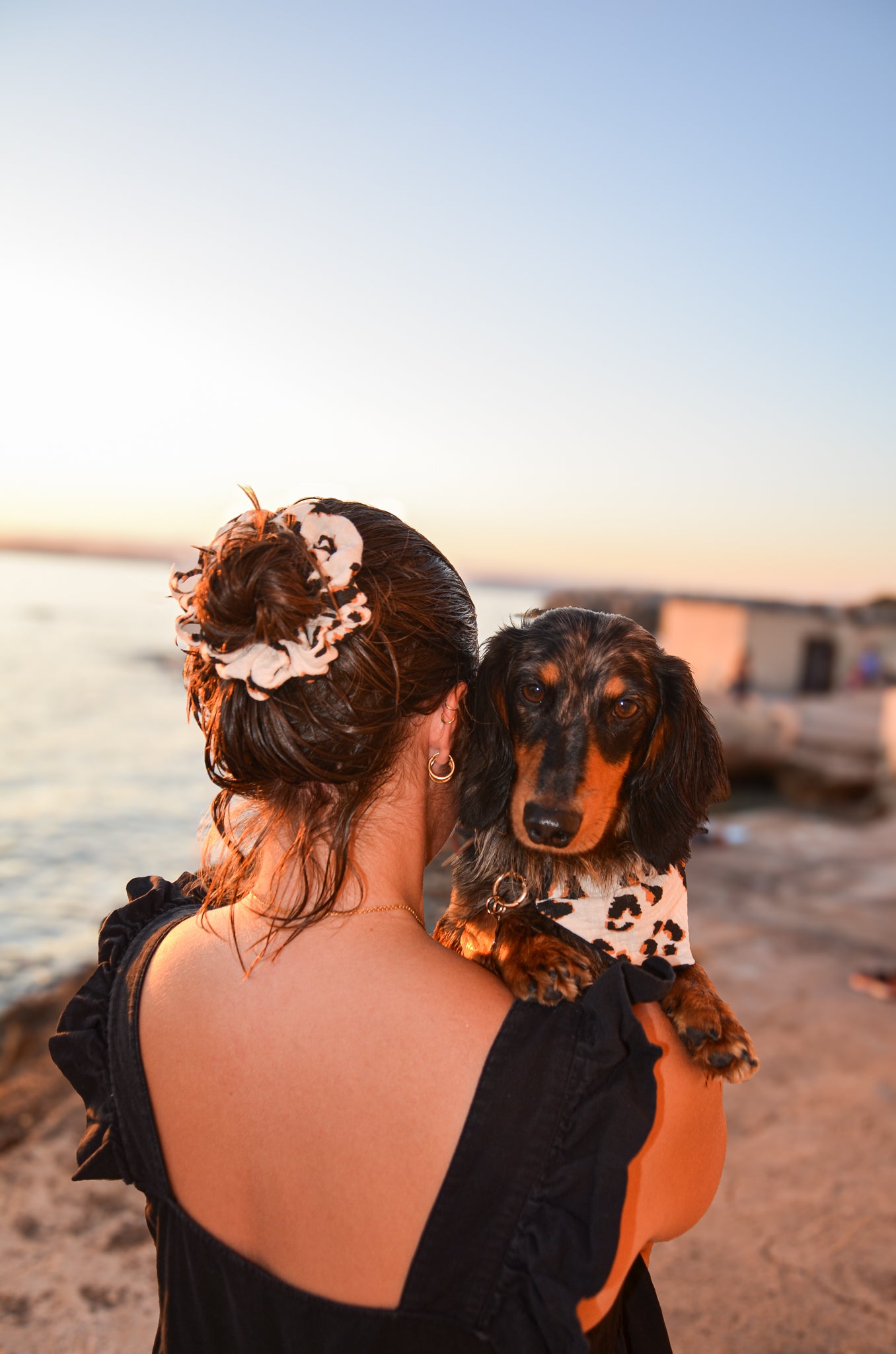 Chouchou et bandana leopard, pour la dogmom et son teckel.