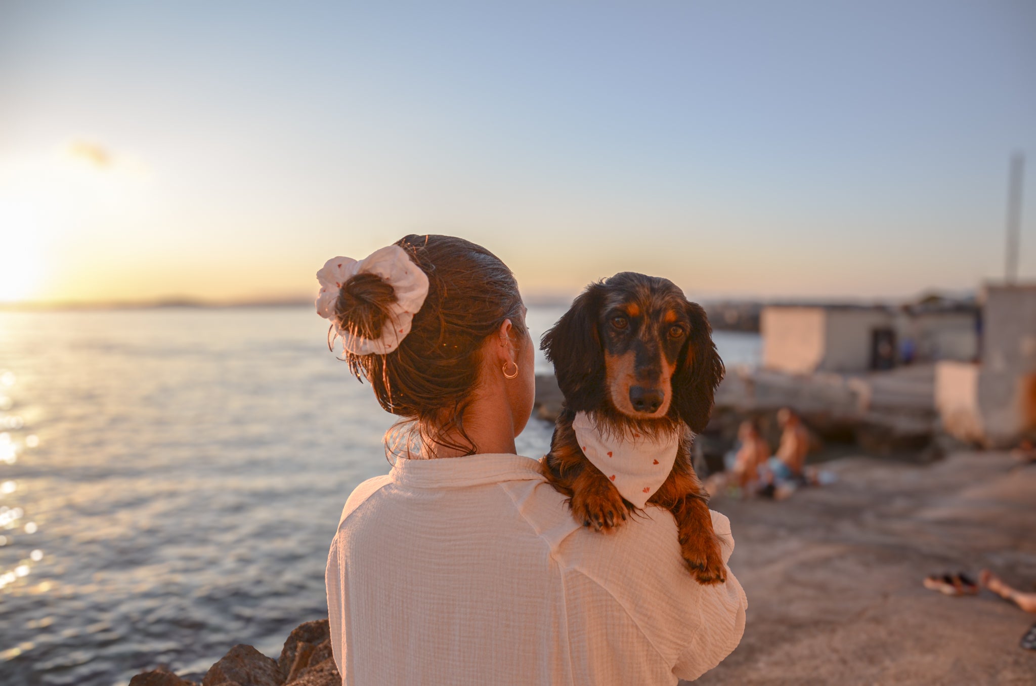 Un duo matchy chouchou & bandana motif coeur, pour un teckel stylé assortie à sa dogmom