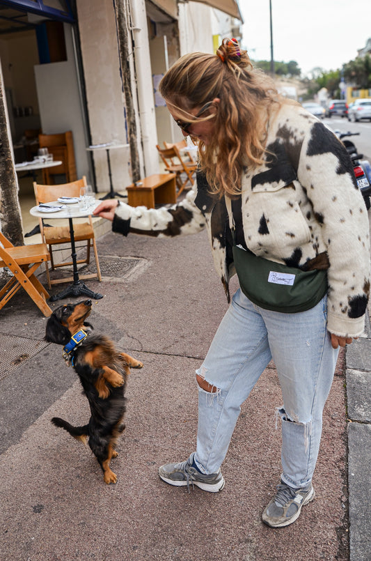 LA CABOTINE DÉPERLANTE