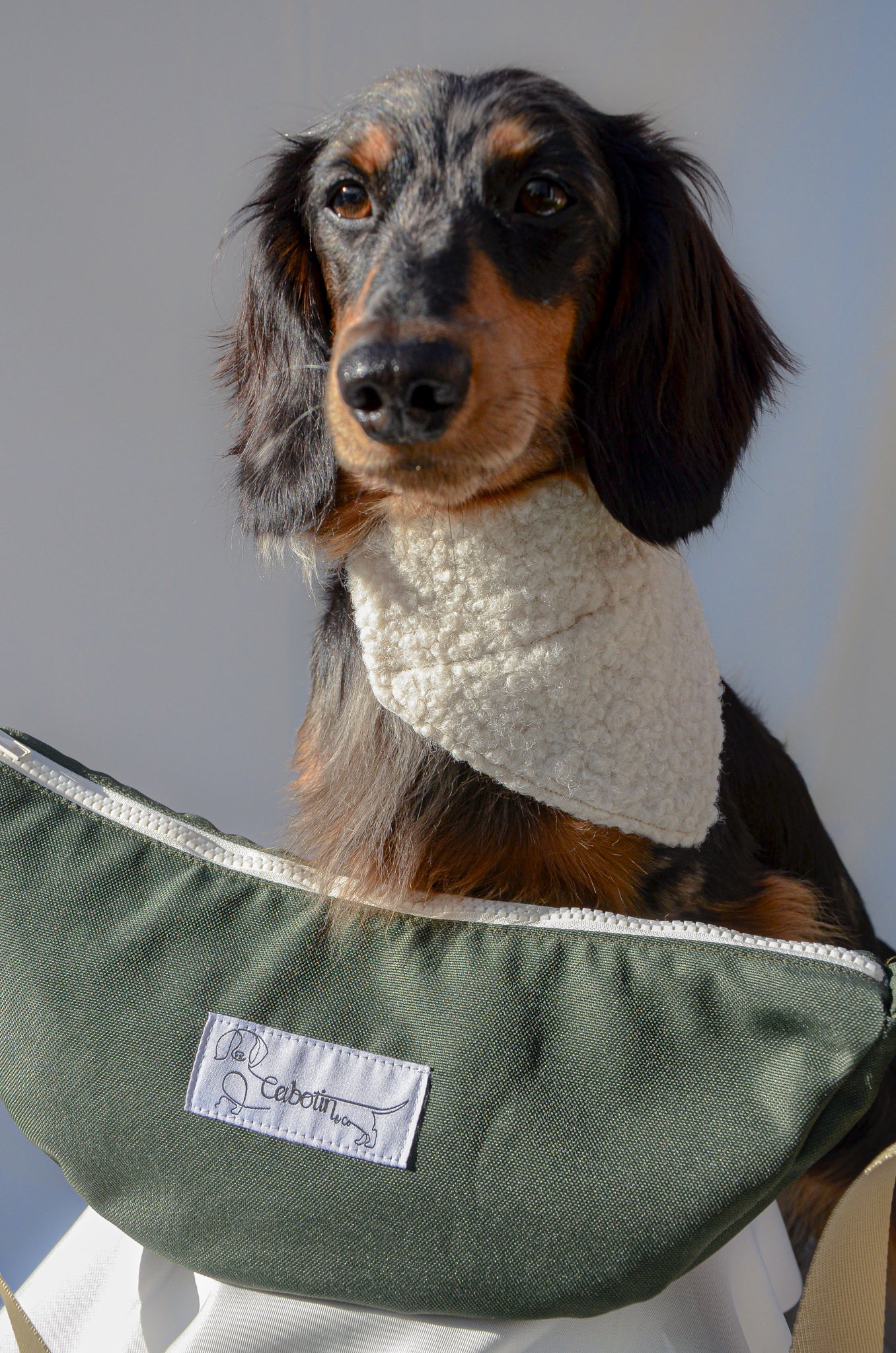 LA CABOTINE DÉPERLANTE