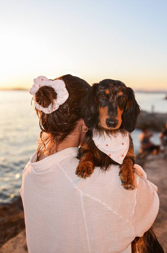 Un duo matchy chouchou & bandana motif coeur, pour un teckel stylé assortie à sa dogmom