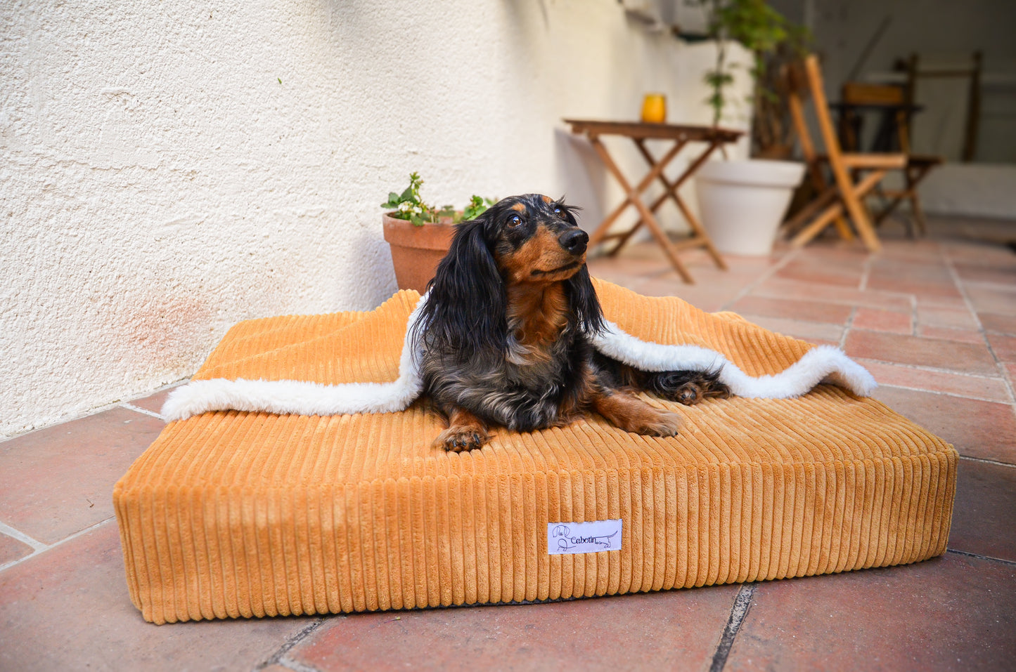 panier avec couverture pour chien